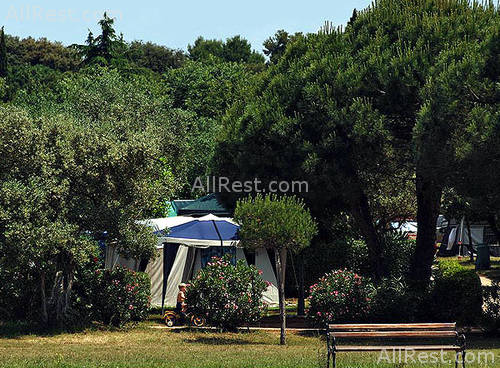 Amarin Camp 27